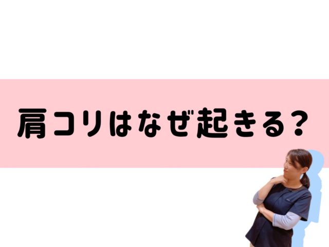 肩こりはなぜ起きる？★新潟万代 女性専門整体院よくする